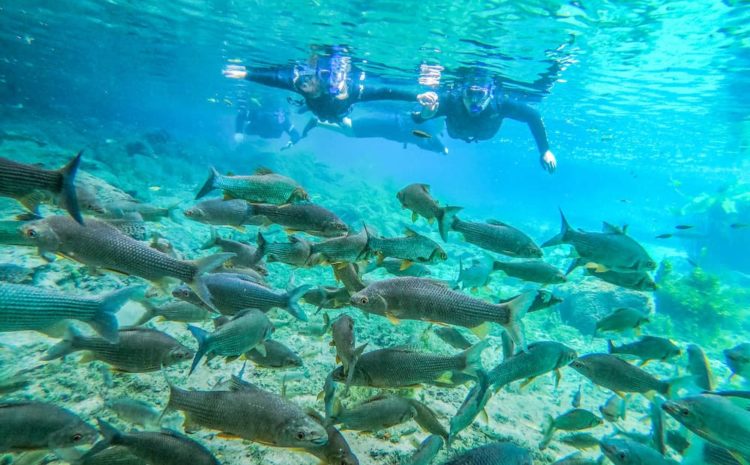 Bonito (MS) aposta na reconexão dos visitantes com a natureza em tempos de retomada