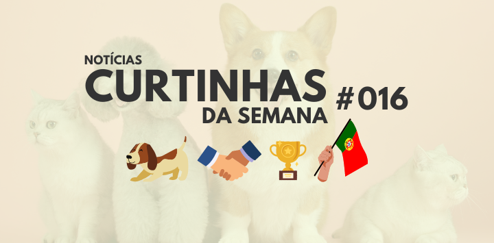  Notícias Curtinhas da Semana #016